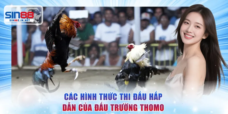 Các hình thức thi đấu hấp dẫn của đấu trường Thomo