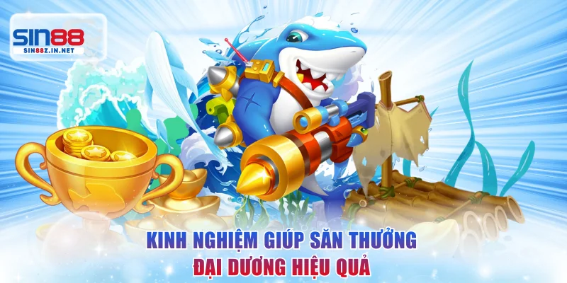 Kinh nghiệm giúp săn thưởng đại dương hiệu quả