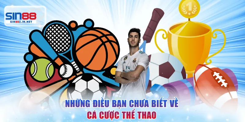 Những điều cơ bản về cá cược thể thao bạn nên biết
