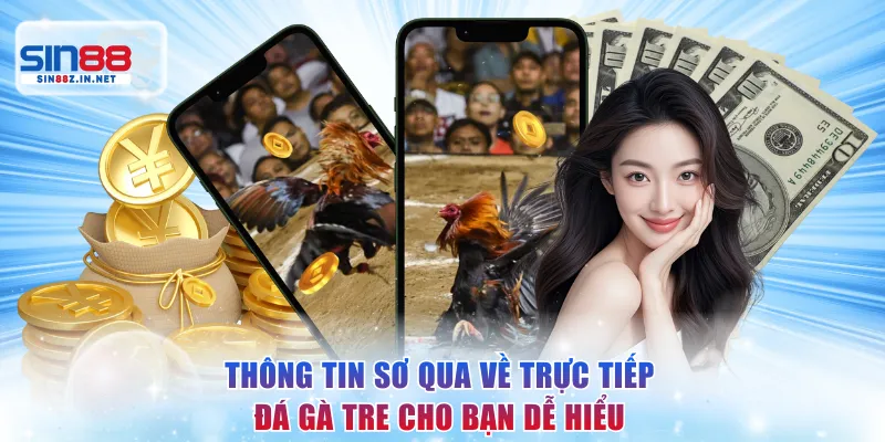 Thông tin sơ qua về trực tiếp đá gà tre cho bạn dễ hiểu